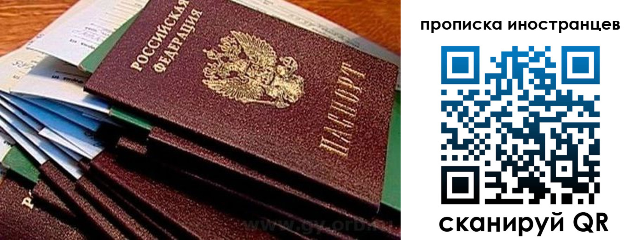 временная регистрация в Бабаево